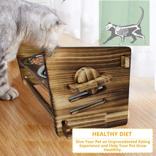 将图片加载到图库查看器,A.FATI Elevated Dog Bowls, Raised Pet Feeder