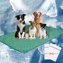 Cargar imagen en el visor de la galería, A.FATI Pet Pee Pad, Washable Bed/Sofa Protection Cover