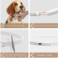 将图片加载到图库查看器,A.FATI Adjustable LED USB Rechargeable Glowing Pet Collar
