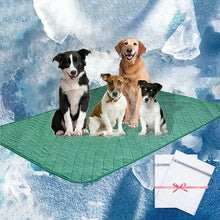 Cargar imagen en el visor de la galería, A.FATI Pet Pee Pad, Washable Bed/Sofa Protection Cover
