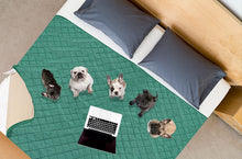 Cargar imagen en el visor de la galería, A.FATI Pet Pee Pad, Washable Bed/Sofa Protection Cover
