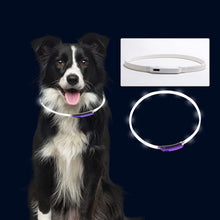 Cargar imagen en el visor de la galería, A.FATI Adjustable LED USB Rechargeable Glowing Pet Collar
