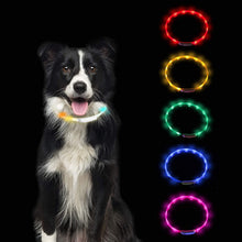 Cargar imagen en el visor de la galería, A.FATI Adjustable LED USB Rechargeable Glowing Pet Collar
